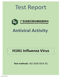 FIBRE ANTIVIRUS TEST REPORT